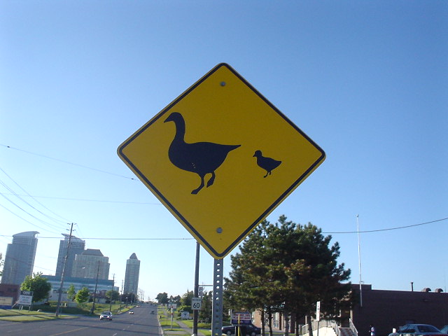 Goose Crossing sign